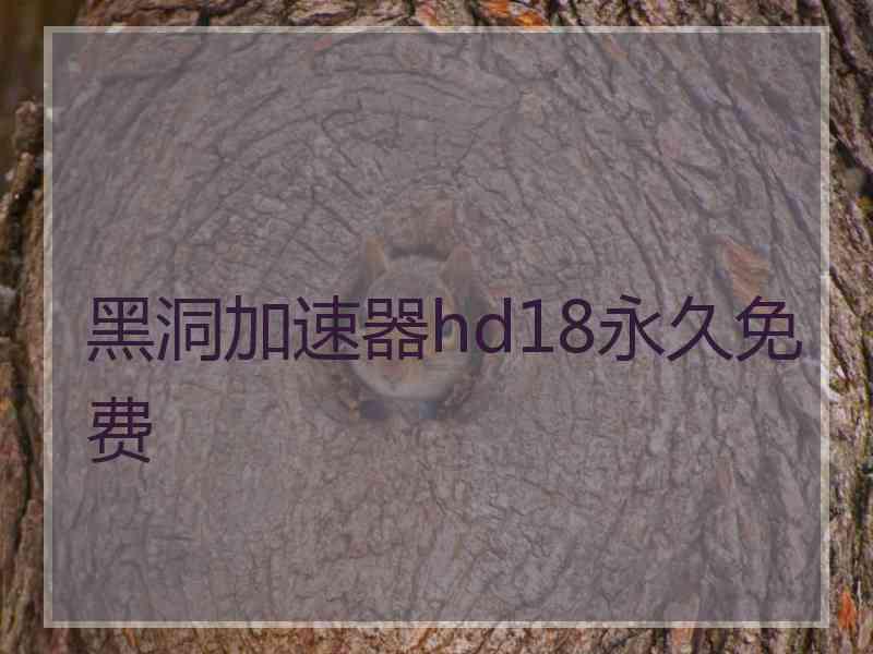 黑洞加速器hd18永久免费
