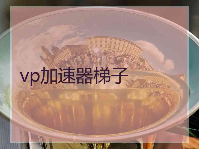 vp加速器梯子