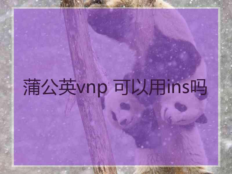 蒲公英vnp 可以用ins吗