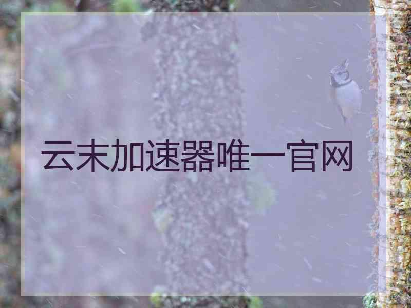 云末加速器唯一官网