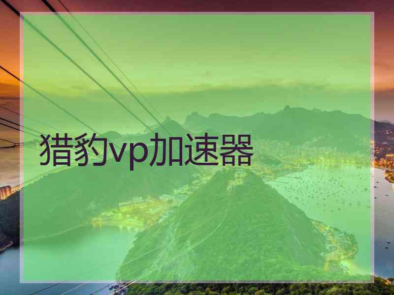 猎豹vp加速器