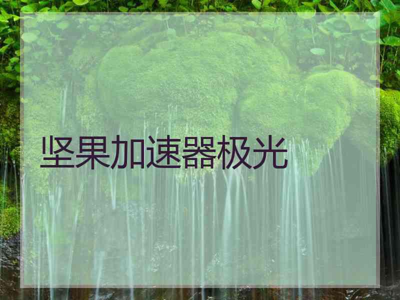 坚果加速器极光