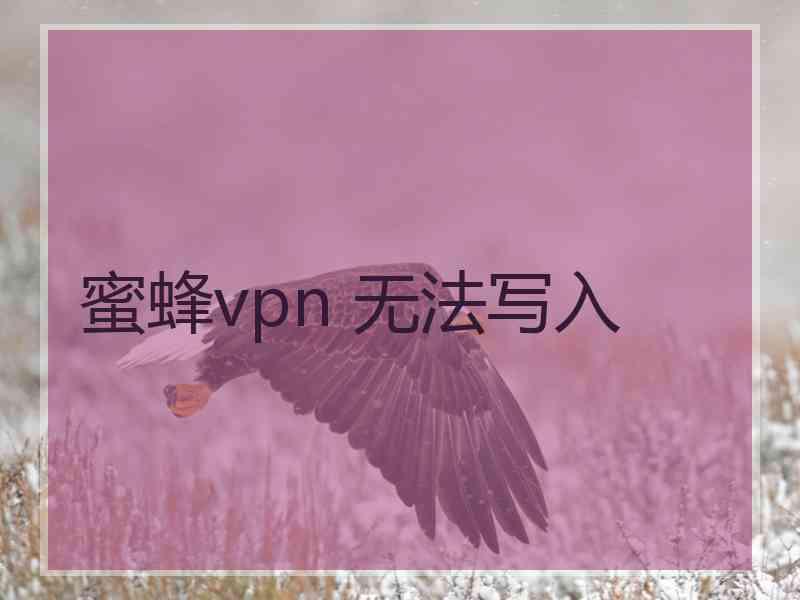 蜜蜂vpn 无法写入