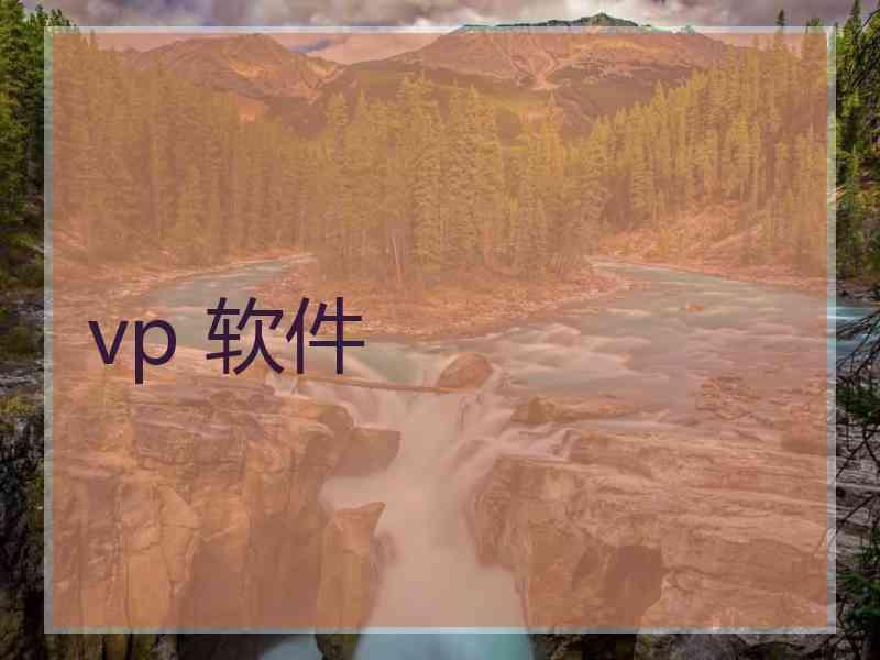 vp 软件