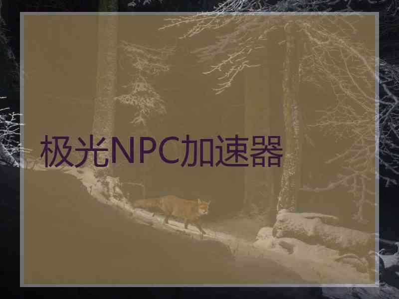 极光NPC加速器