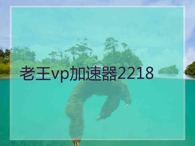 老王vp加速器2218