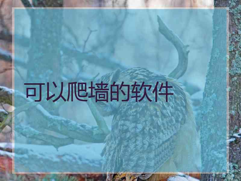 可以爬墙的软件