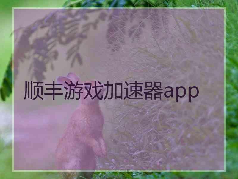 顺丰游戏加速器app