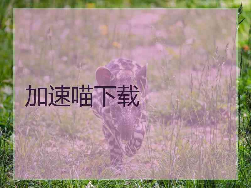 加速喵下载