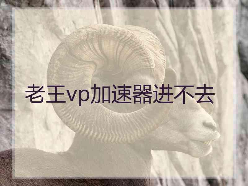 老王vp加速器进不去