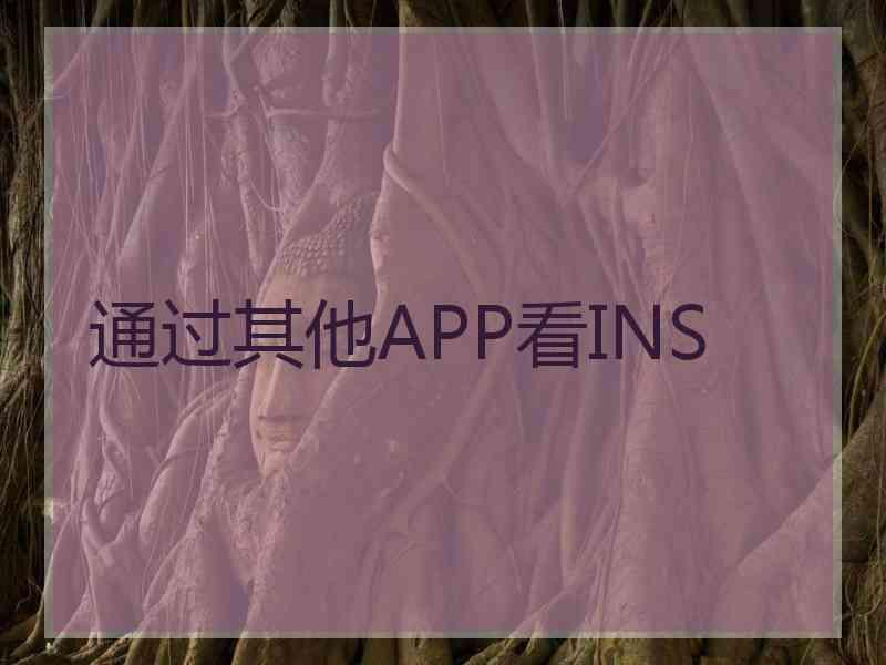 通过其他APP看INS