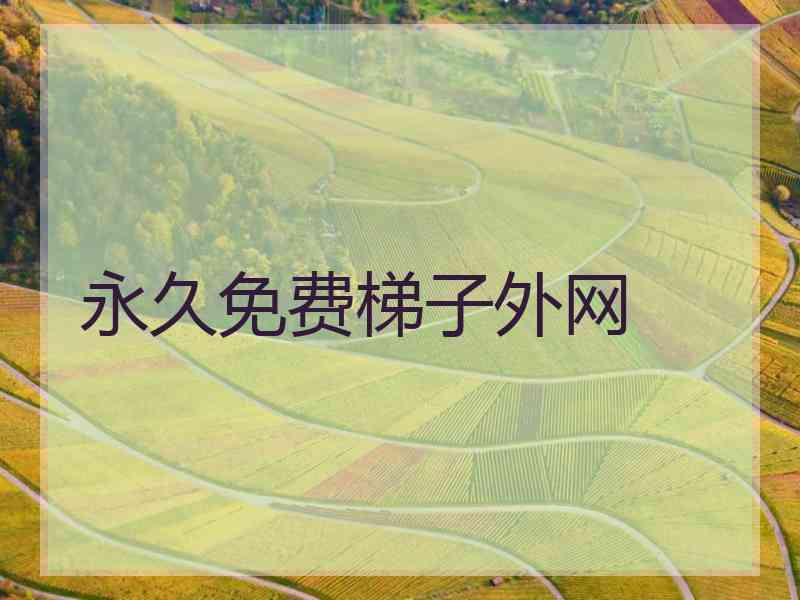 永久免费梯子外网
