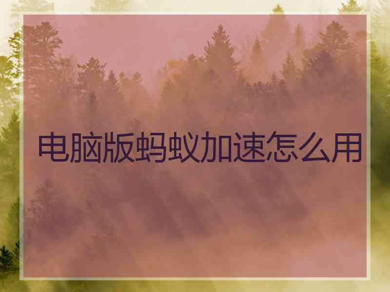 电脑版蚂蚁加速怎么用