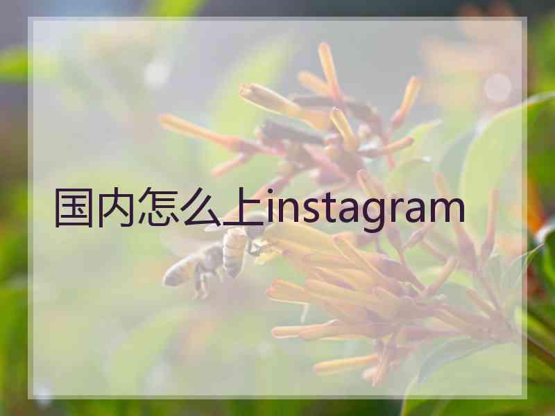 国内怎么上instagram