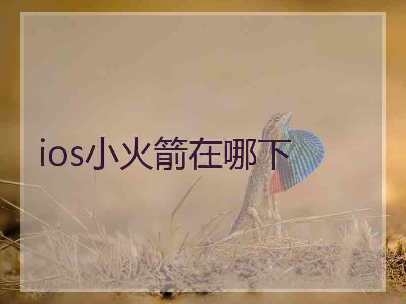 ios小火箭在哪下