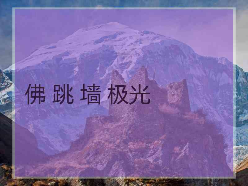 佛 跳 墙 极光
