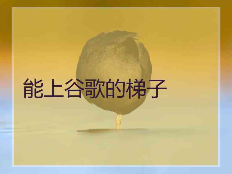 能上谷歌的梯子