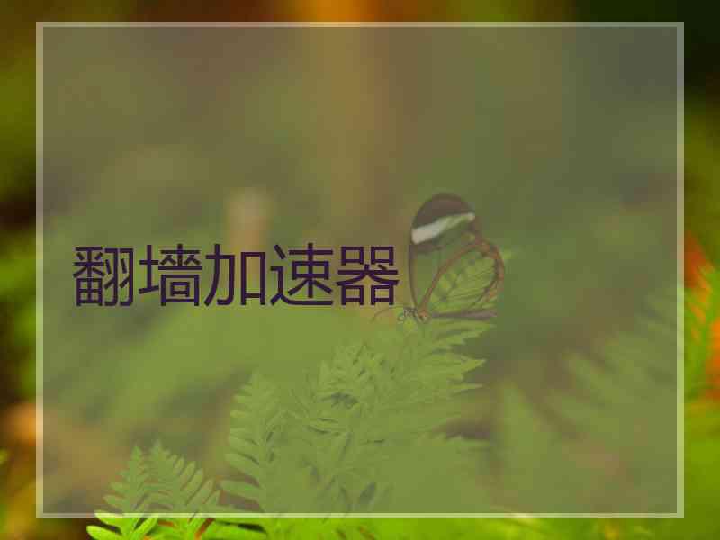 翻墻加速器