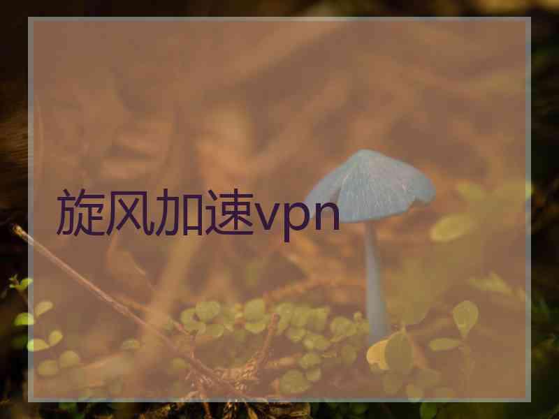 旋风加速vpn