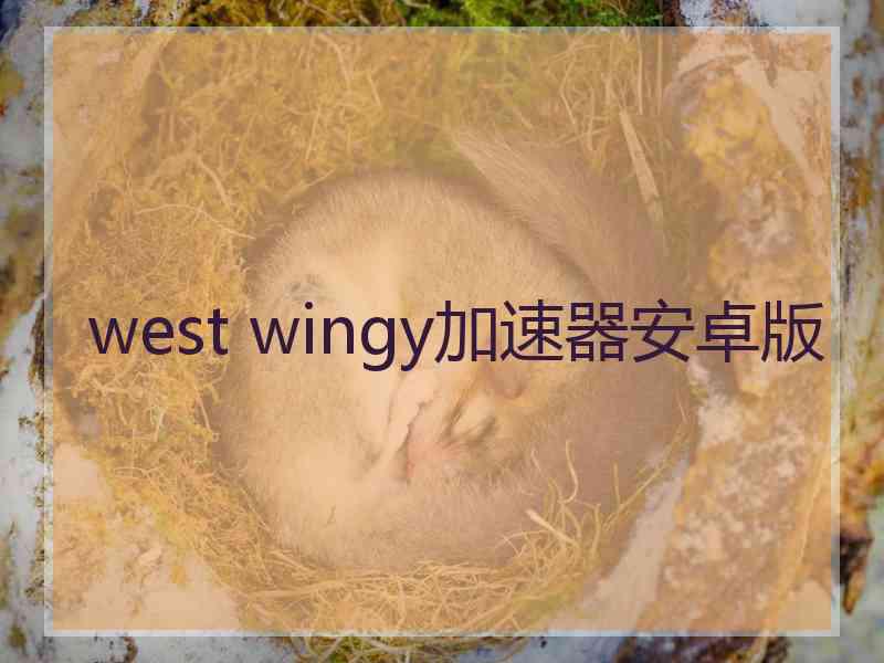 west wingy加速器安卓版