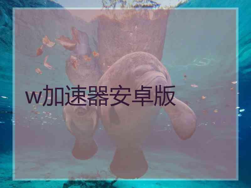 w加速器安卓版