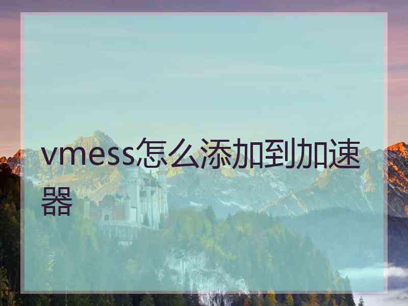 vmess怎么添加到加速器