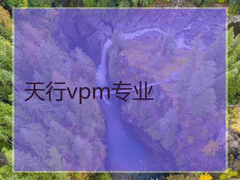 天行vpm专业