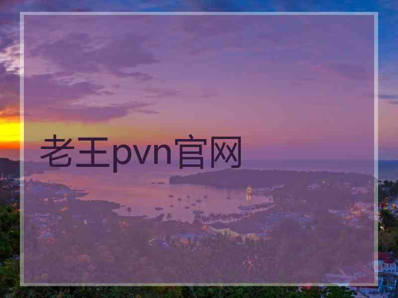 老王pvn官网