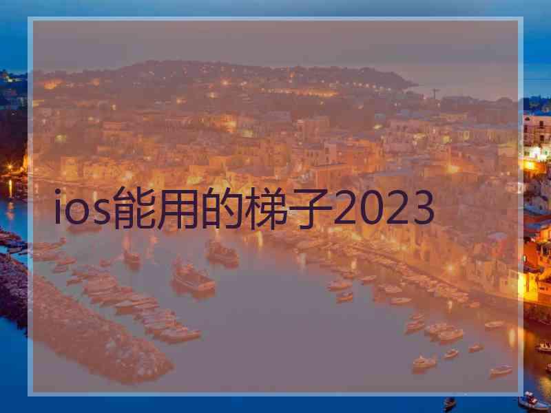 ios能用的梯子2023