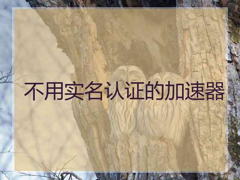 不用实名认证的加速器