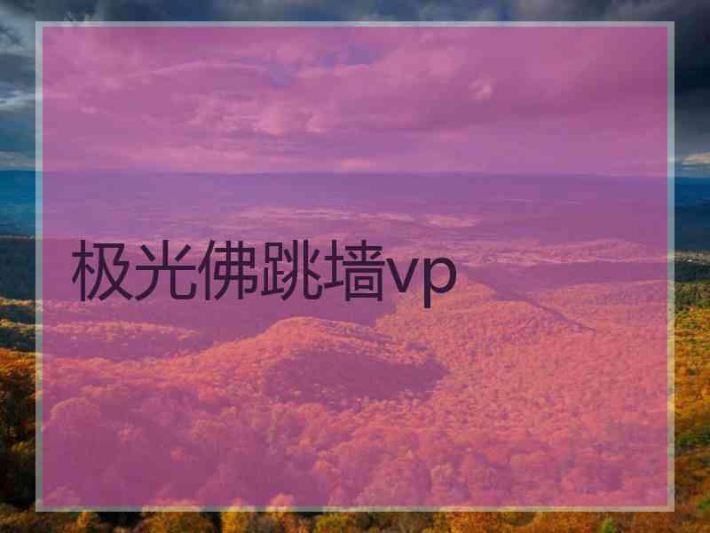 极光佛跳墙vp