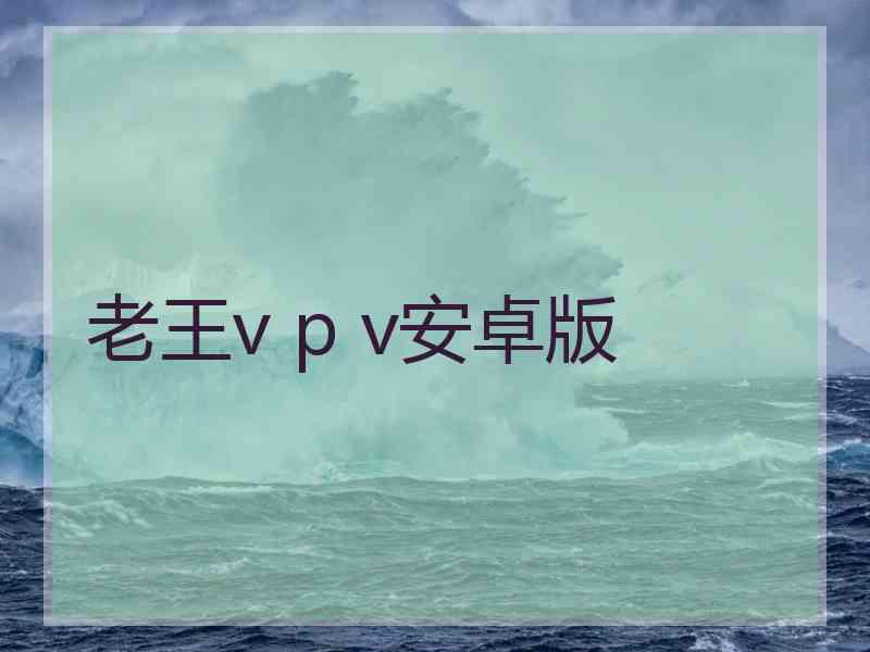 老王v p v安卓版