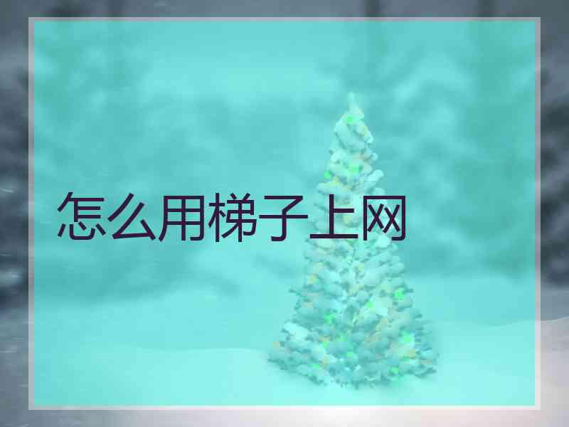 怎么用梯子上网