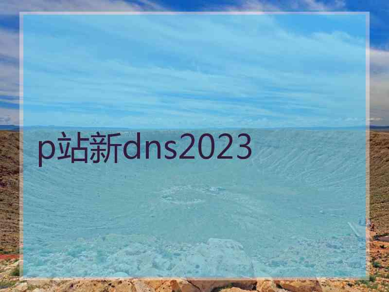 p站新dns2023