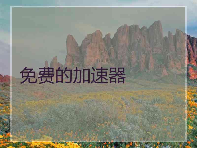 免费的加速器