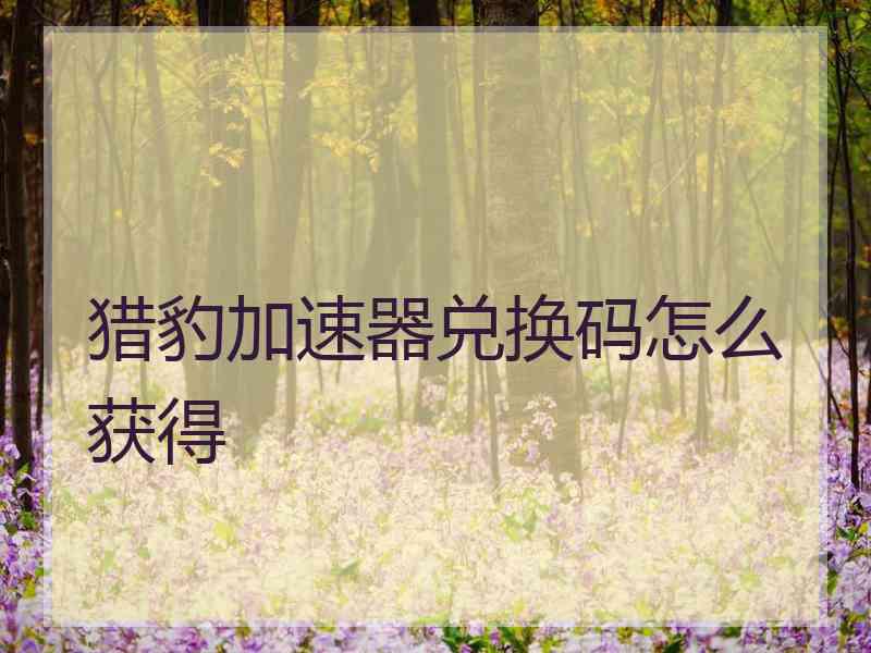 猎豹加速器兑换码怎么获得