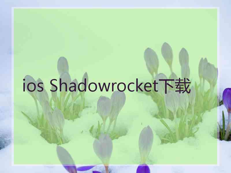 ios Shadowrocket下载