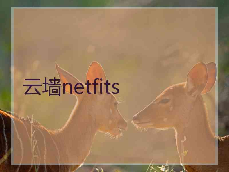 云墙netfits