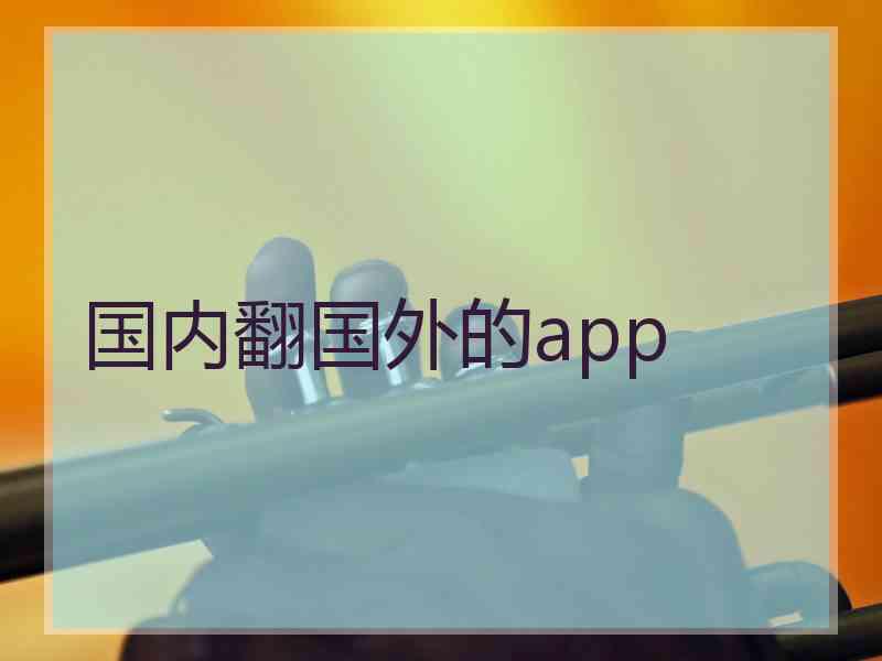 国内翻国外的app