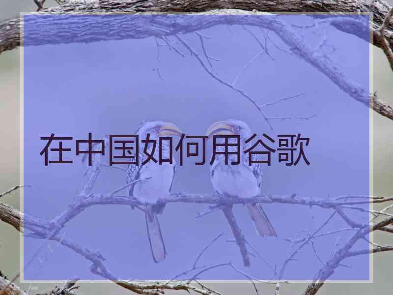 在中国如何用谷歌