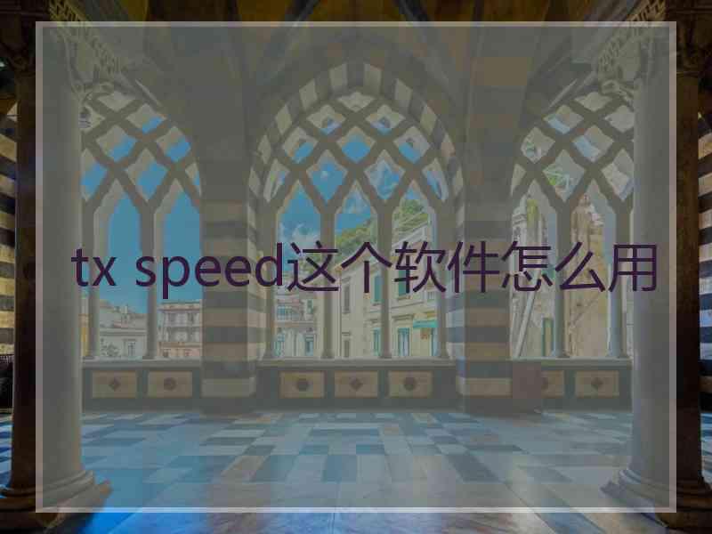 tx speed这个软件怎么用