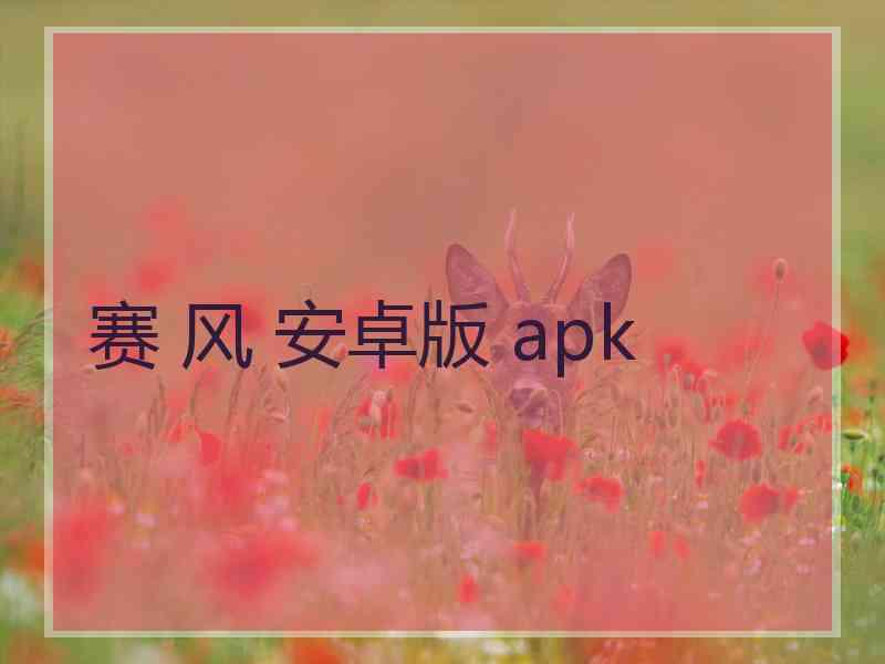 赛 风 安卓版 apk