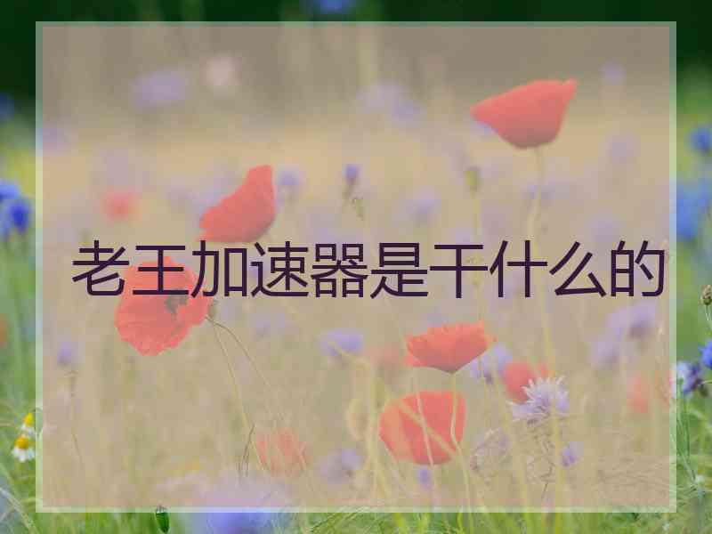 老王加速器是干什么的