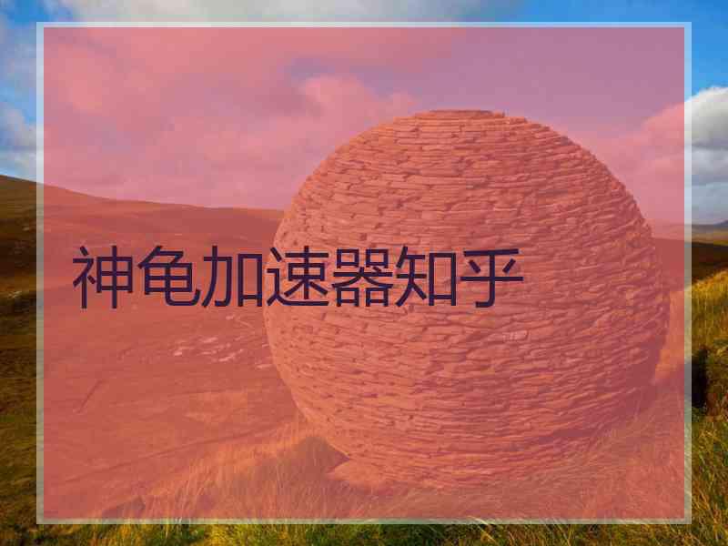 神龟加速器知乎