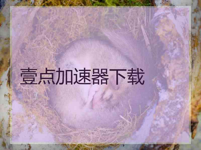 壹点加速器下载