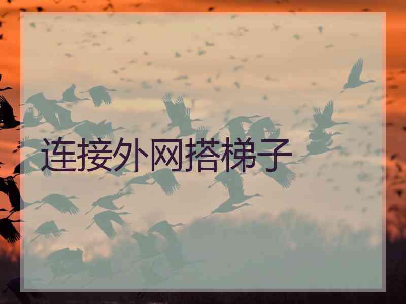 连接外网搭梯子