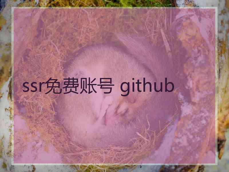 ssr免费账号 github