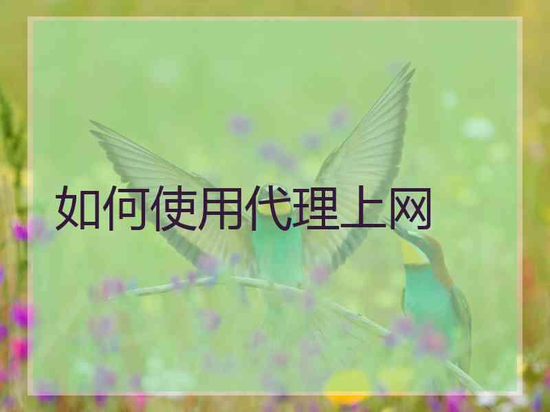 如何使用代理上网
