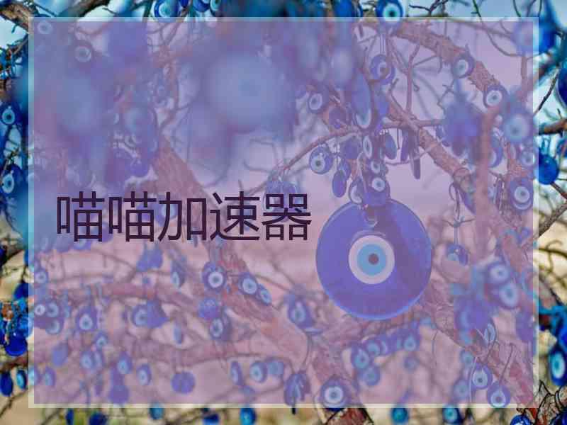 喵喵加速器