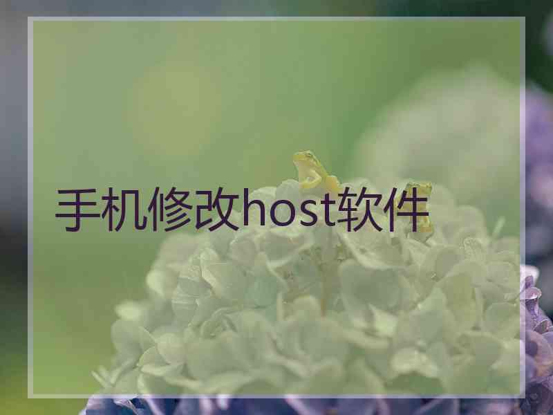 手机修改host软件
